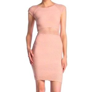 NWT Bebe mesh blush bodycon dress S